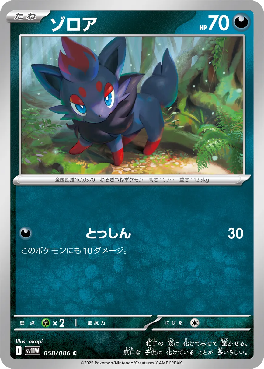 ゾロア