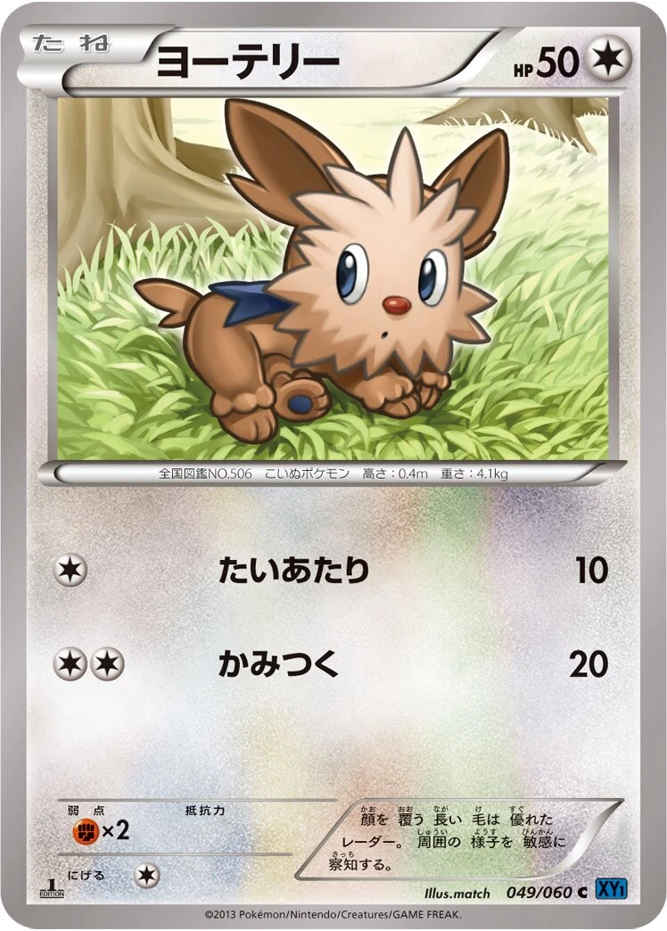 ヨーテリー