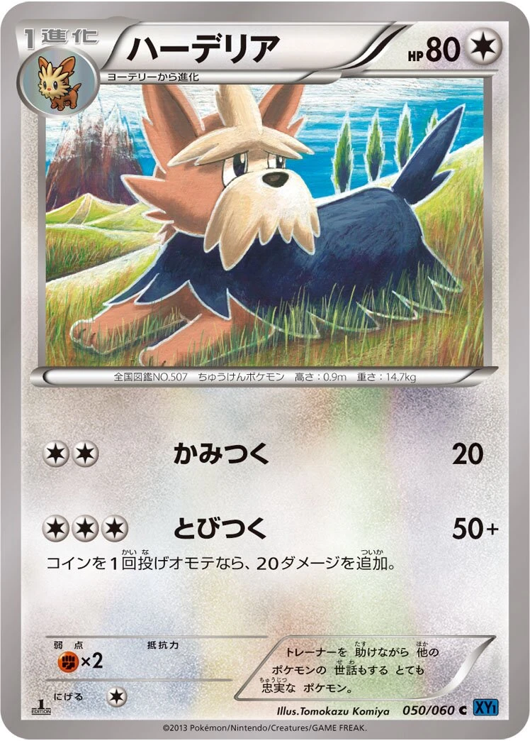 ハーデリア