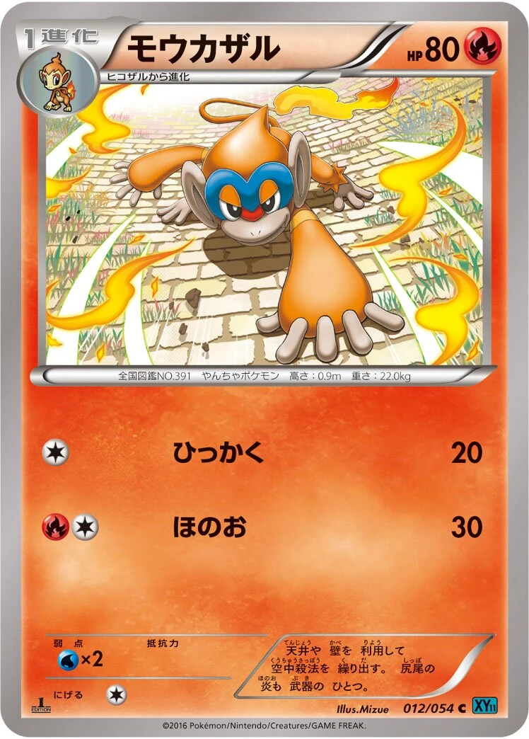 モウカザル