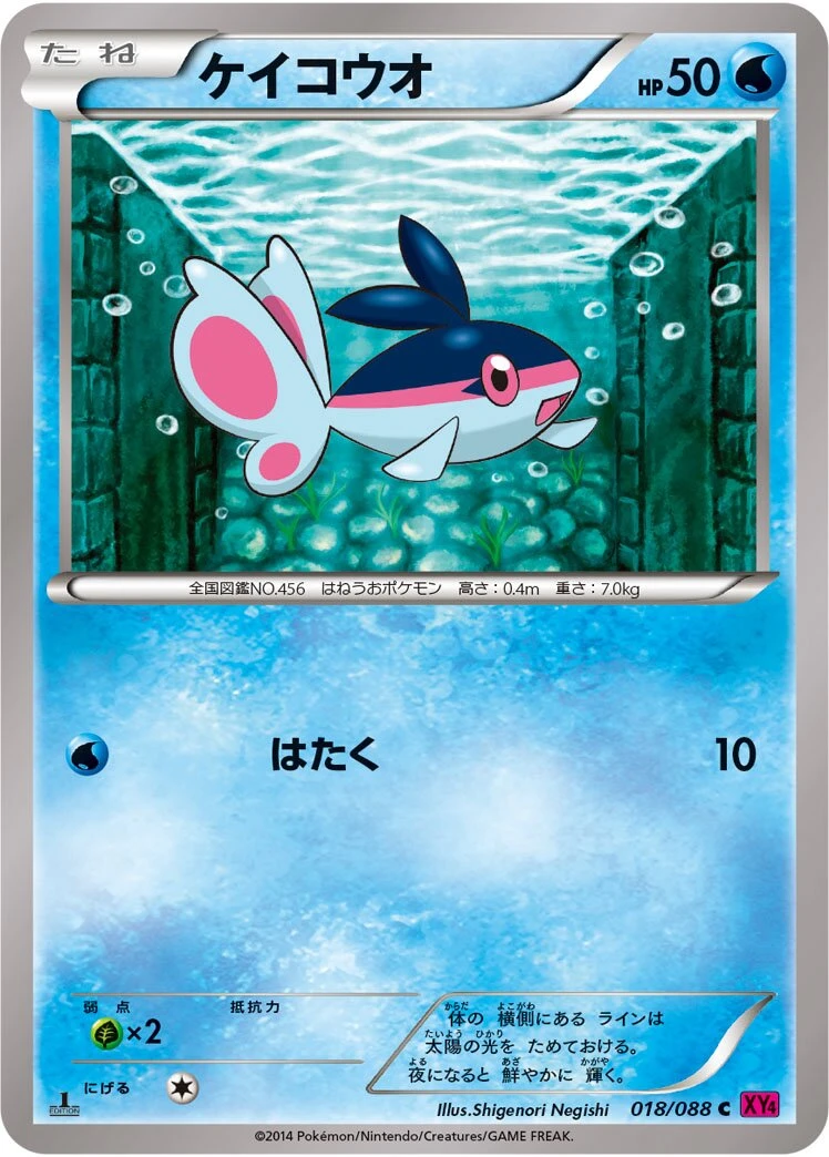 ケイコウオ