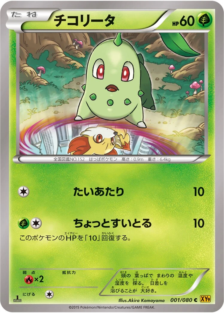チコリータ
