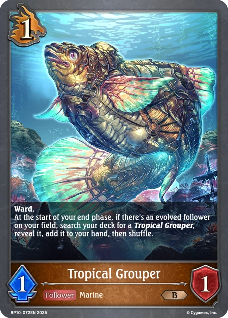 Tropical Grouper