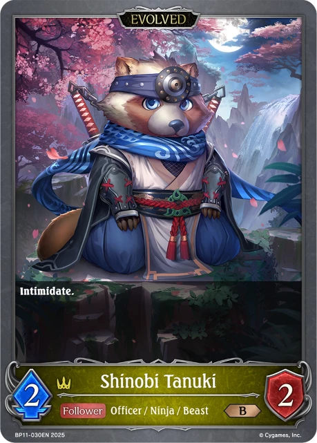 Shinobi Tanuki