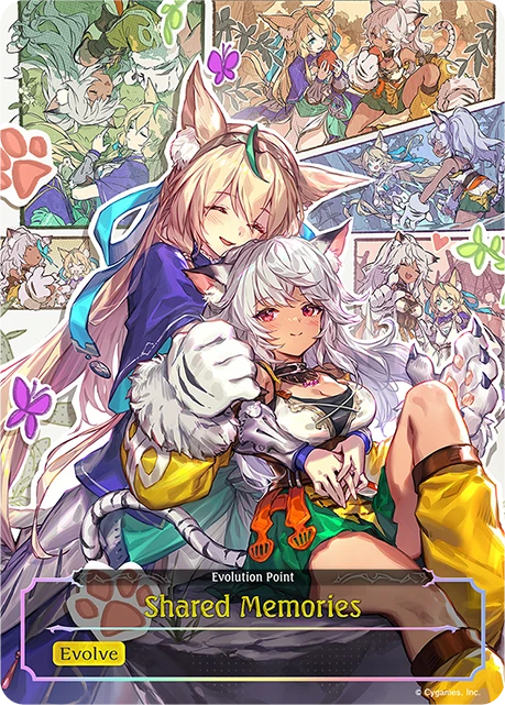 Shared Memories