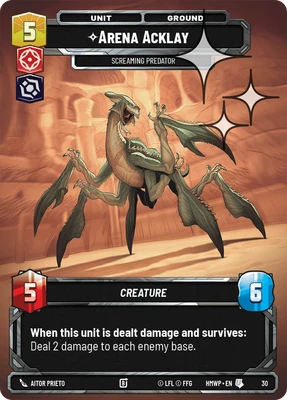 Arena Acklay
