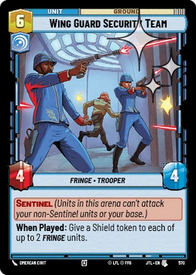 Wing Guard Security Team
