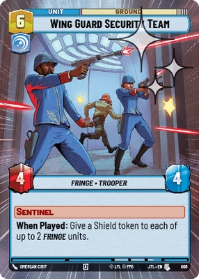 Wing Guard Security Team