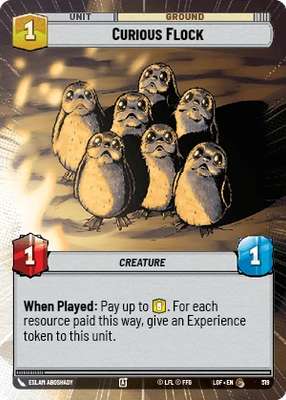 Curious Flock