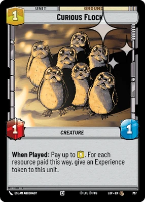 Curious Flock