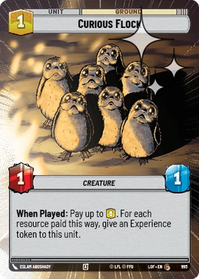 Curious Flock