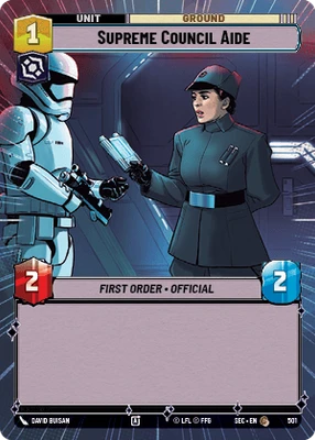 Supreme Council Aide