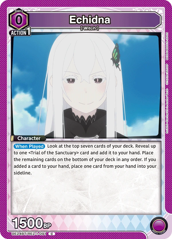 Echidna