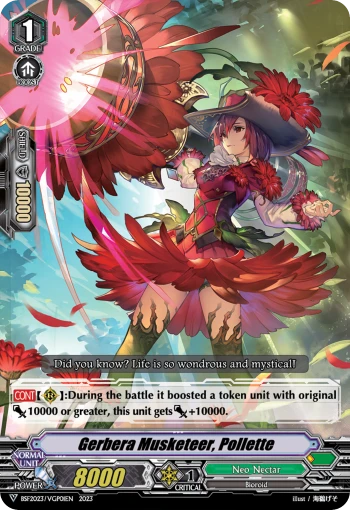 Gerbera Musketeer, Pollette