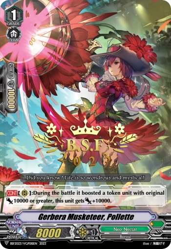 Gerbera Musketeer, Pollette
