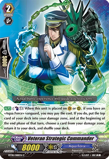 Veteran Strategic Commander