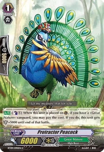 Protractor Peacock