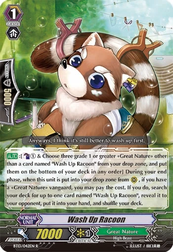 Wash Up Racoon