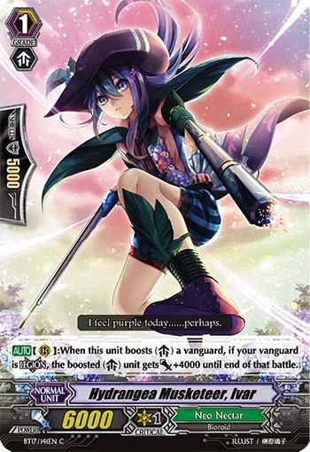 Hydrangea Musketeer, Ivar