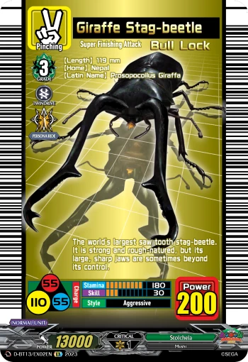 Giraffe Stag-beetle