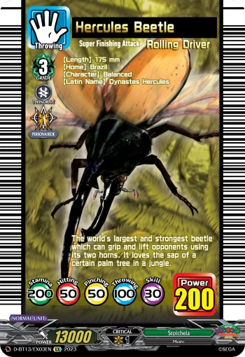 Hercules Beetle