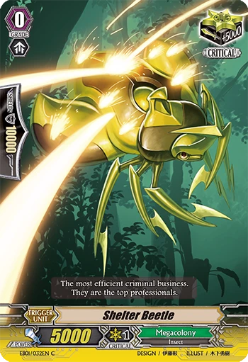Shelter Beetle