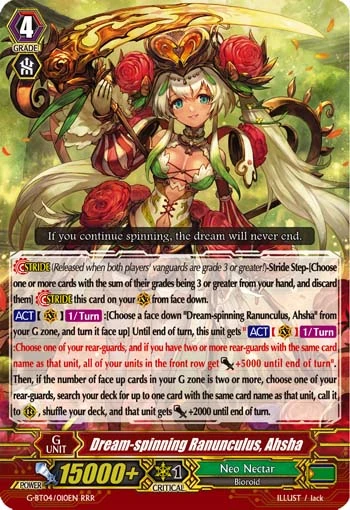 Dream-spinning Ranunculus, Ahsha
