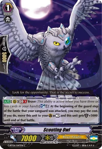 Scouting Owl