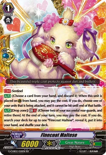 Finecoat Maltese