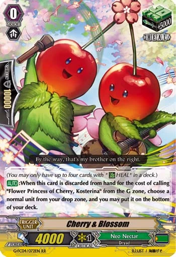 Cherry & Blossom