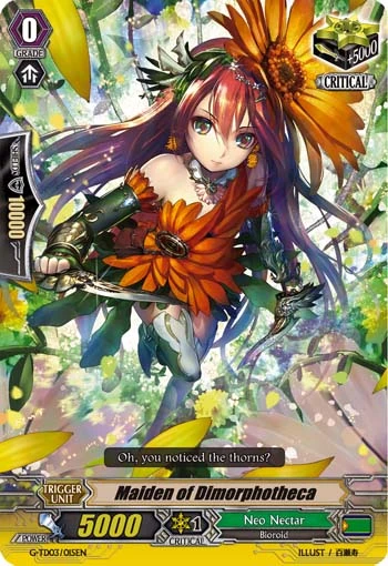 Maiden of Dimorphotheca
