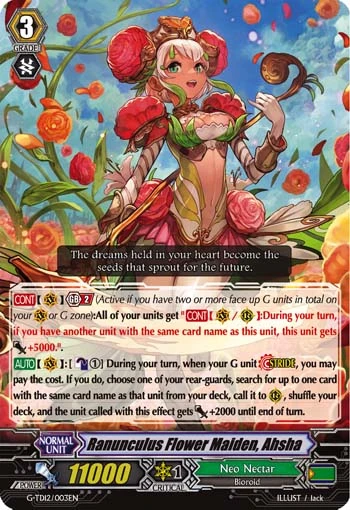 Ranunculus Flower Maiden, Ahsha