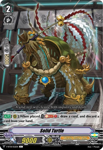 Solid Turtle