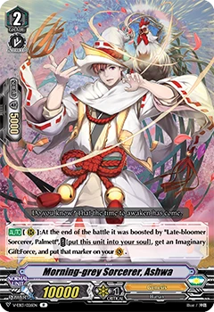 Morning-grey Sorcerer, Ashwa