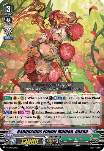 Ranunculus Flower Maiden, Ahsha