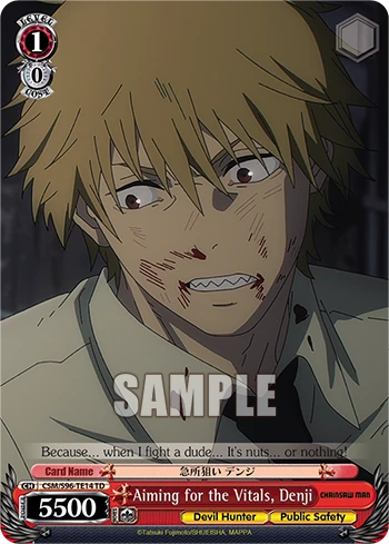 Aiming for the Vitals, Denji