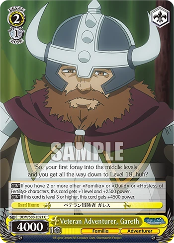 Veteran Adventurer, Gareth