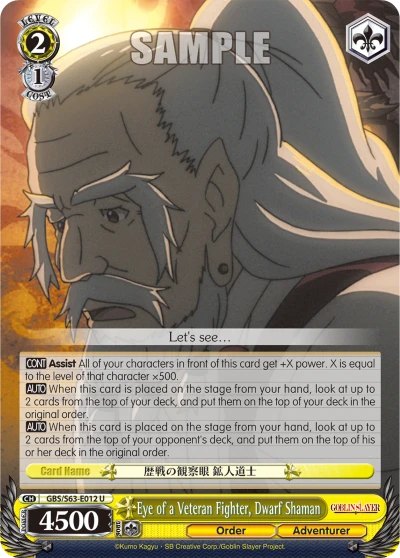 Eye of a Veteran Fighter, Dwarf Shaman