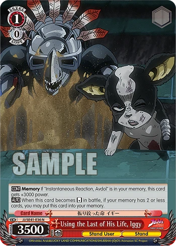 Using the Last of His Life, Iggy