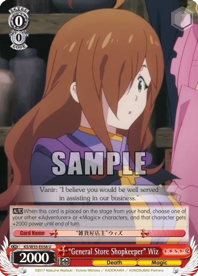"General Store Shopkeeper" Wiz
