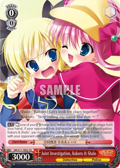Joint Investigation, Kokoro & Shalo