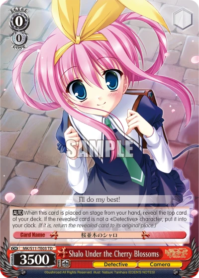 Shalo Under the Cherry Blossoms