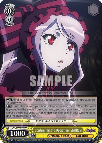 Confirming the Operation, Shalltear
