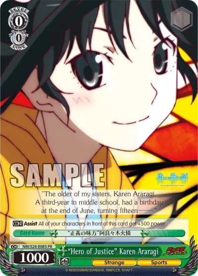 “Hero of Justice” Karen Araragi