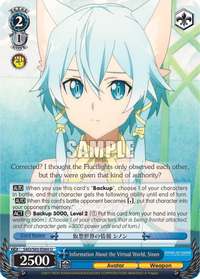 Information About the Virtual World, Sinon