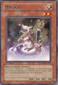 Magicat