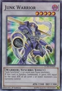 Junk Warrior