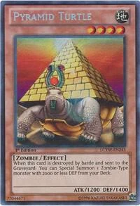 Pyramid Turtle