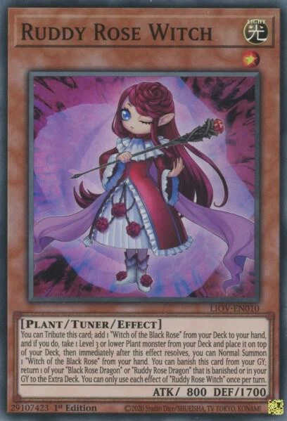 Ruddy Rose Witch