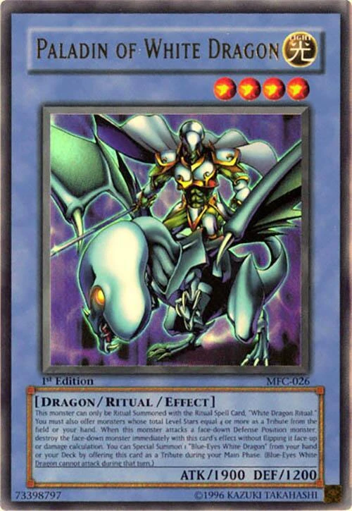 Paladin of White Dragon